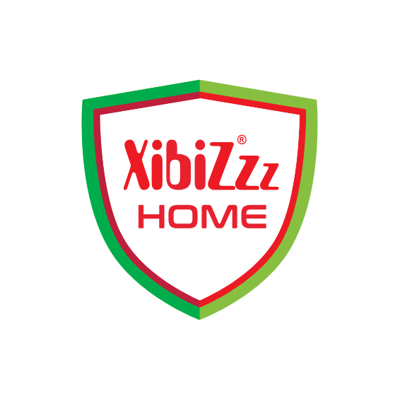 Xibizz Home Logo 2 Verzije