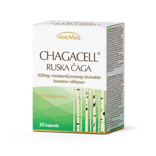 Russian Chaga mushroom capsules