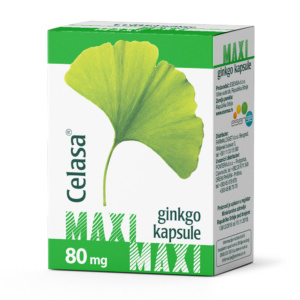 Ginkgo Maxi