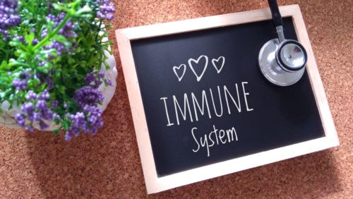Imunitet Je Prioritet 2 Esensa