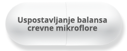 Uspostavljanje Balansa Crevne Mikroflore