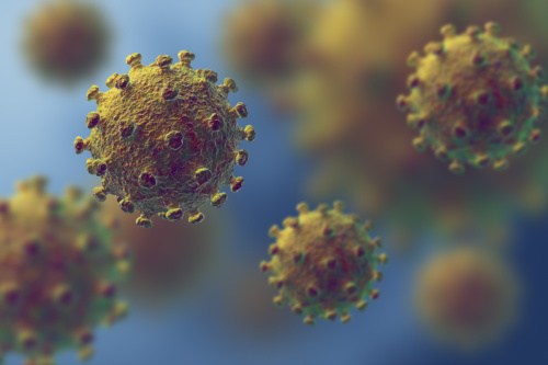 Korona virus – bolje sprečiti nego lečiti