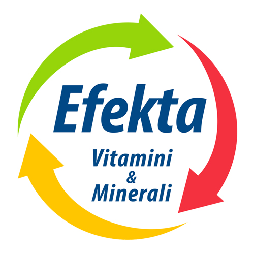 Logo Efekta Manji