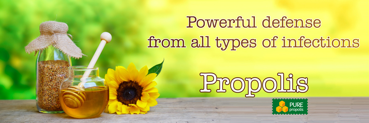 Propolis Propolis